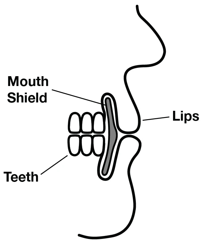 Mouth Shield